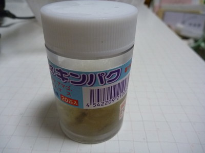 P1000193