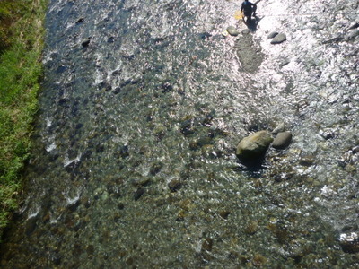 P1010669