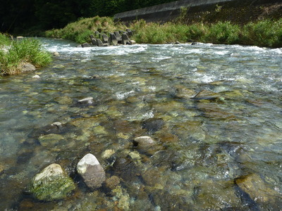 P1010541
