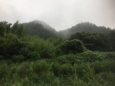 2017-08-11-15-55-07