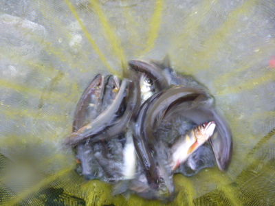 P1010091