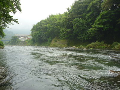 P1010073