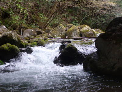 P1000211