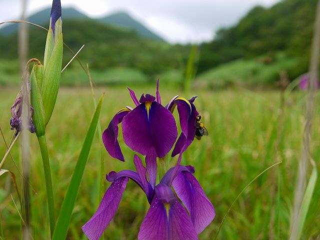 7月30日 120