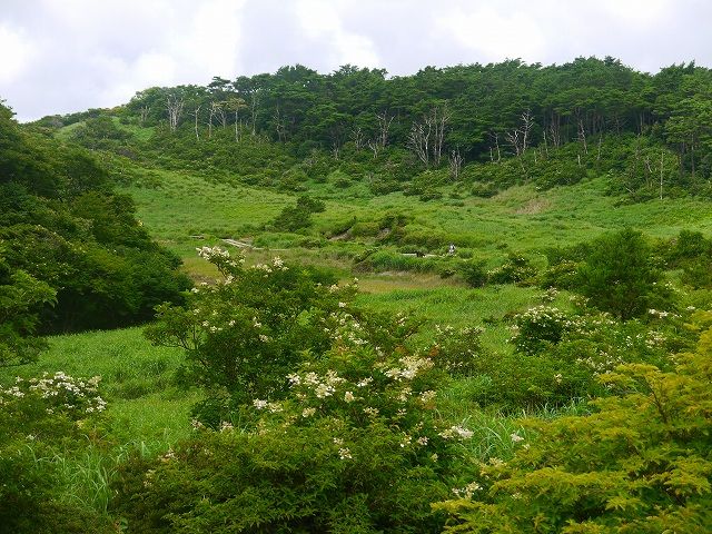 7月30日 036