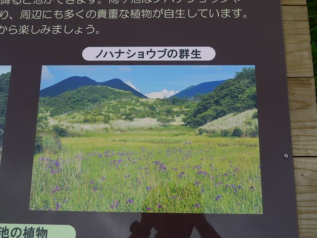 7月30日 112