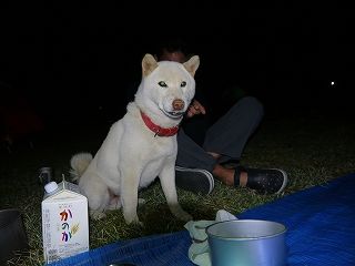坊がつる12年4月 123