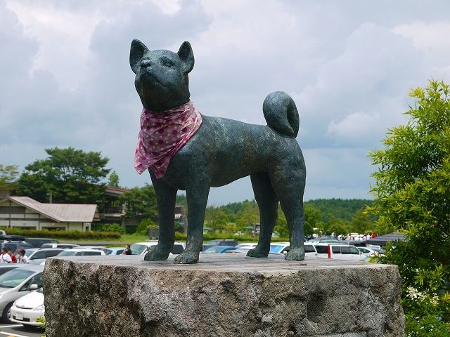 7月30日 172