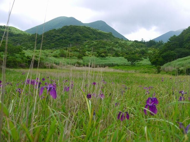 7月30日 113