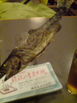 c94629c2.jpg