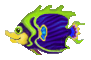 fishsnew