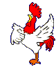 Rooster_sings_2