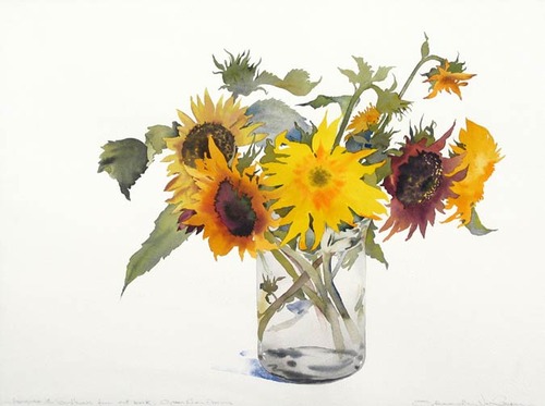 susan_vancampen