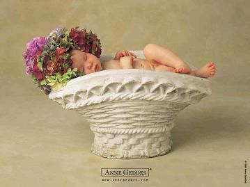 AnneGeddes_Wallpaper03
