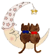 cat-onmoon