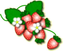 strawberry01