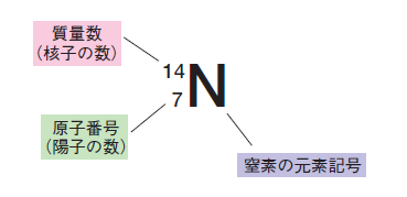 窒素原子