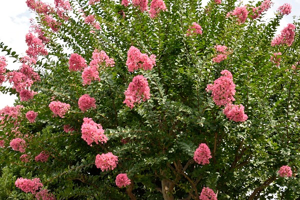 2014_07_20_22.jpg