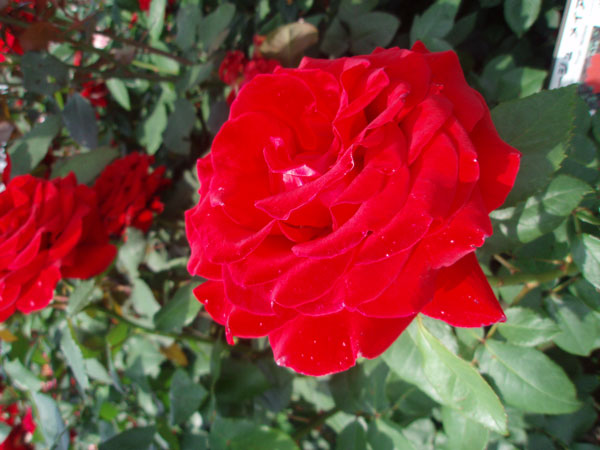 2014_05_11_41.jpg