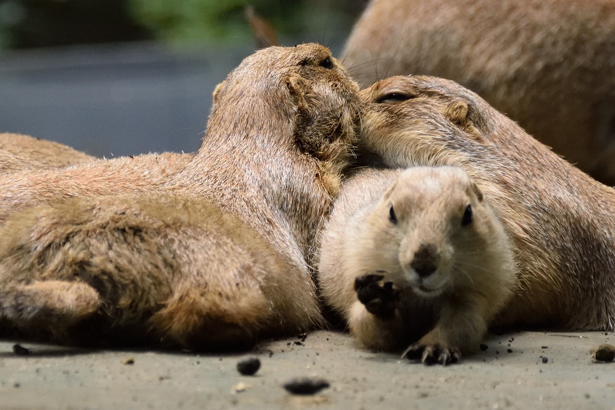 2015_06_28_19.jpg