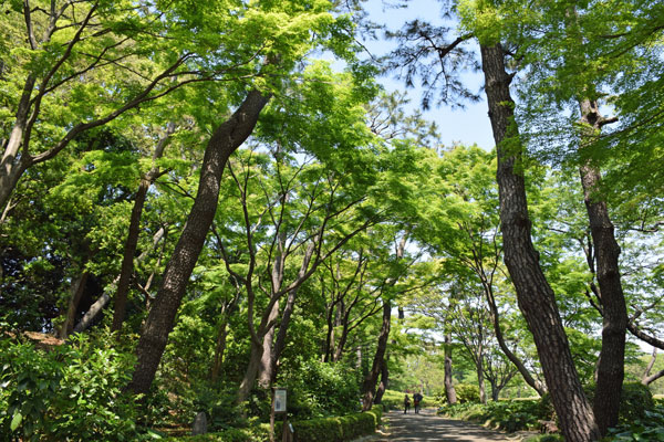 2014_04_27_06.jpg