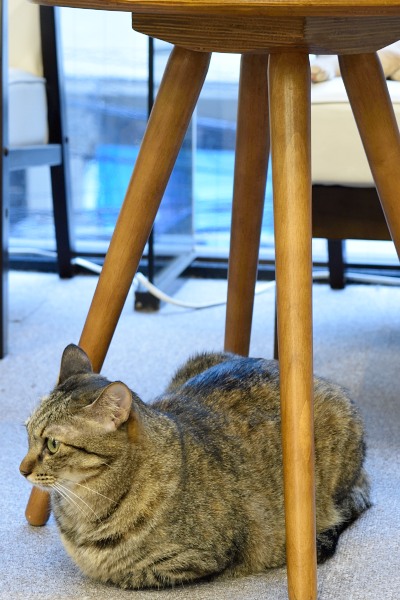 2014_07_05_17.jpg