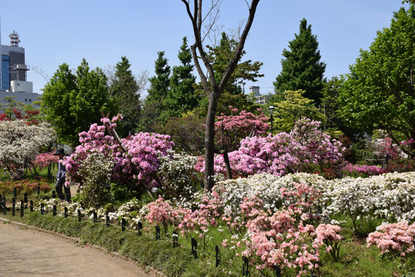 2014_005_04_09.jpg