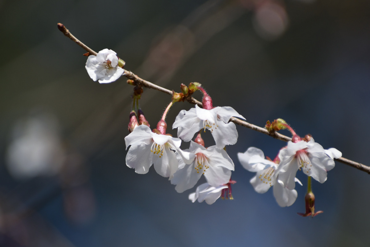 2019_0317_07