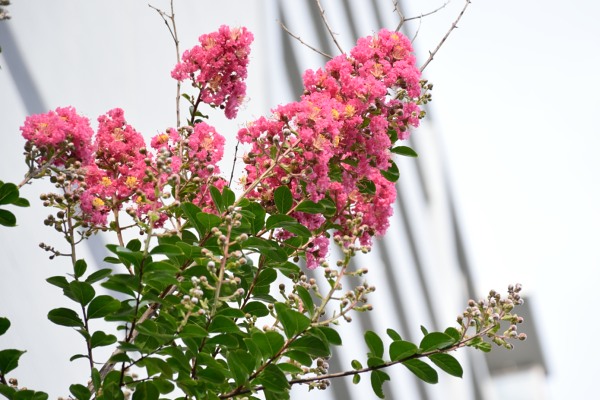 2014_07_06_04.jpg