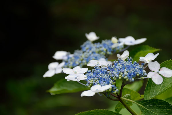2014_06_08_10.jpg
