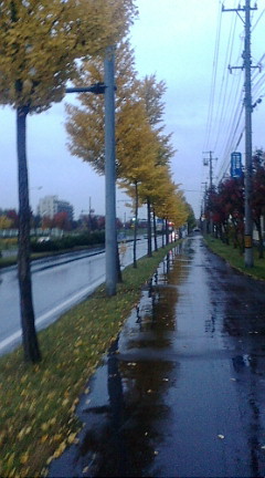 20091023162628