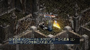 cc8593e2.jpg