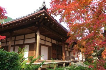 jojakoji20181126-05