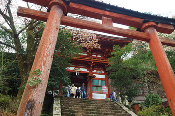 03mikumarijinja20180404-01