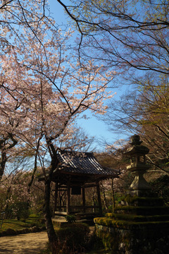 shojiji20180331-08