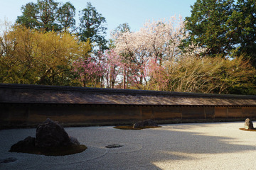 ryoanji20180331-03