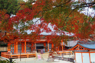 katuoji20181114-04