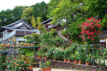matsuoji20180510-06