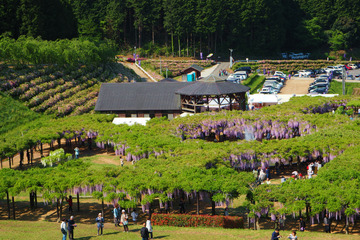 ohmachfujipark20180504-08