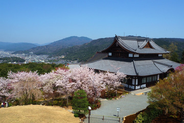 seiryuden20180331-05
