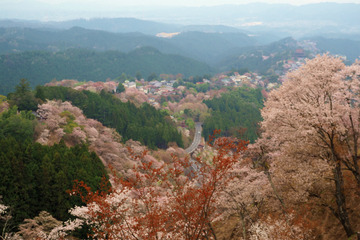 04kamisenbon20180404-02