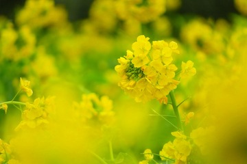 nagisa20190110-03