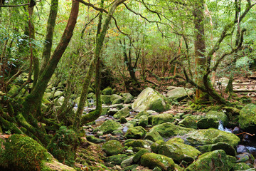 35shiratani20180423