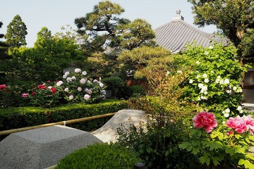 sekkoji20170430-02