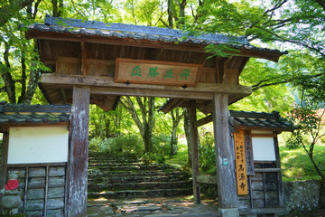 kogenji20180504-02