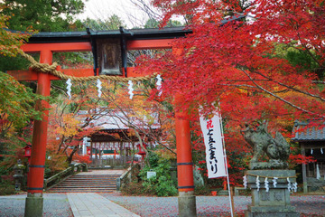 kuwayama20181114-01