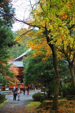 yokawatyudo20181119-05
