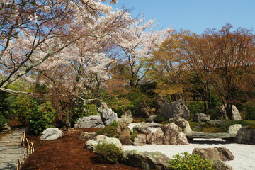 seiryuden20180331-08