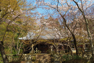 shojiji20180331-03