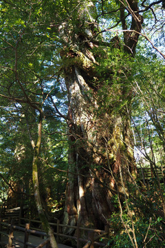 10kigensugi